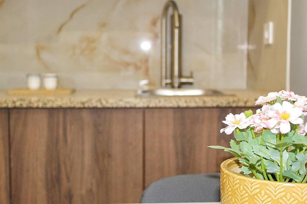 Oporto Sweet Downtown 4 Apartman Kültér fotó